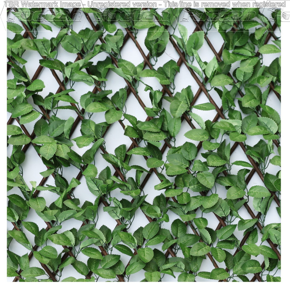 Gard decorativ Willow-Rose 1*2m