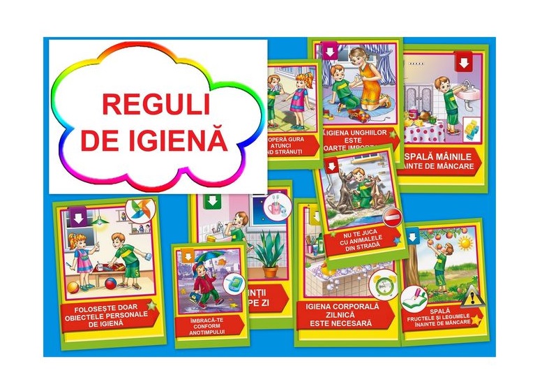 D12-3.3 Reguli de igienă