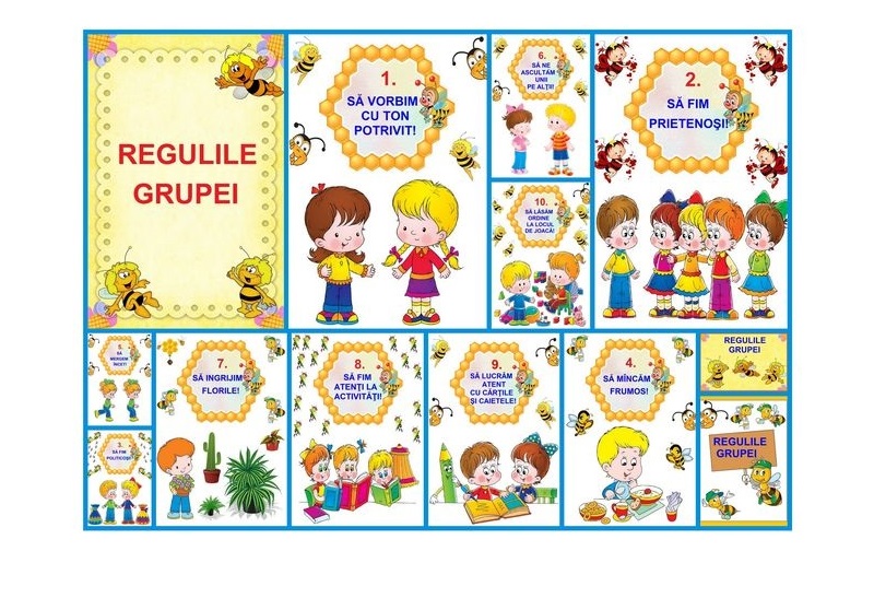 D7-3.2 Regulile grupei (A5)