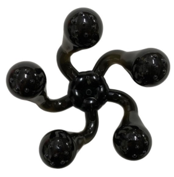 Caracatita