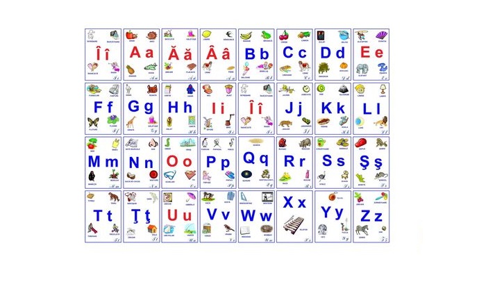 D1-27 Alfabetul limbii române (A3)