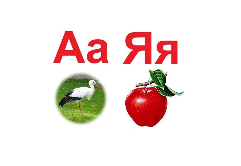 D1-13.2 Alfabetul limbii ruse (A5)