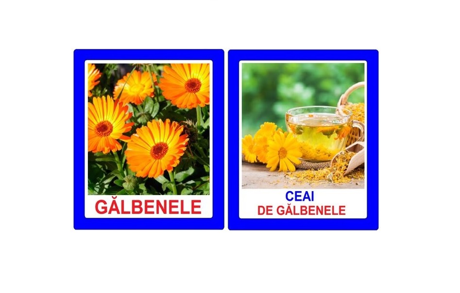 PM-4 Joc cu cleşte Ceaiuri din plante medicinale