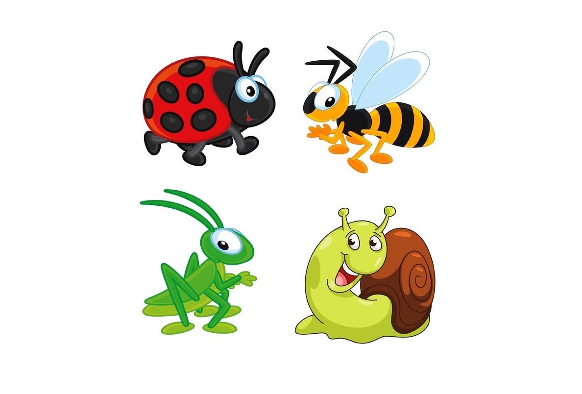IN-2 Joc cu cleşte Insecte