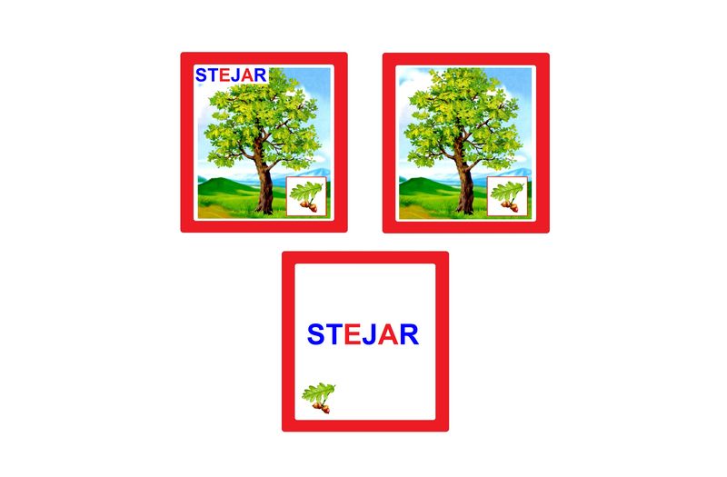 CO-4.1 Joc cu cleşte Arbori (6+)
