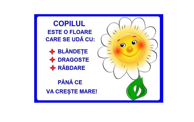 D17-C84 Citat (A3 laminat)