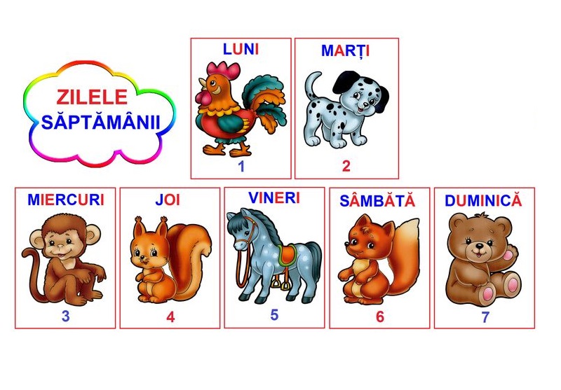 D11-6.2 Zilele săptămânii (A5)