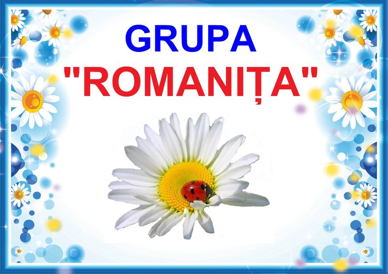 D9-33.1 Romaniţa (A3)