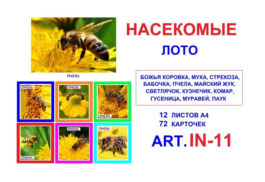 Насекомые art.IN-11