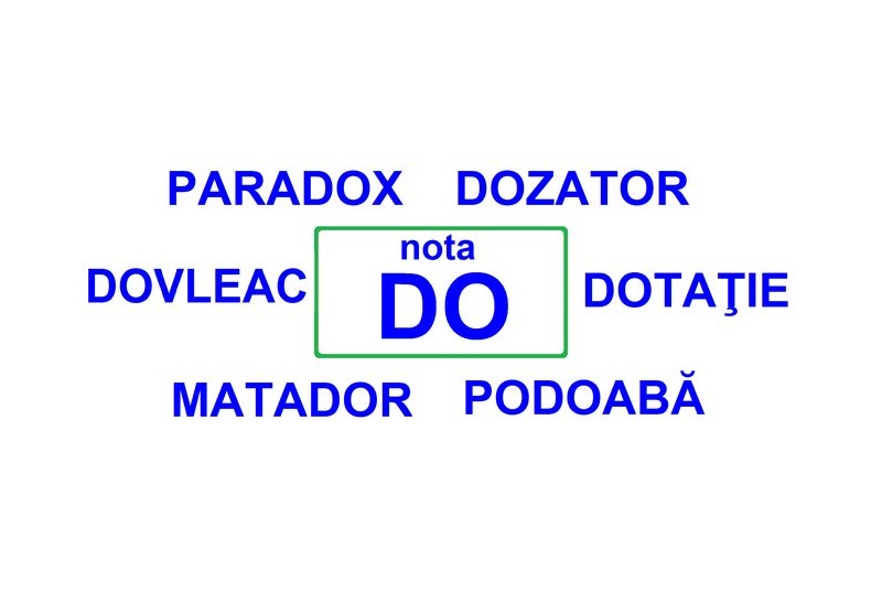MZ-14 Joc cu jetoane Note muzicale ascunse