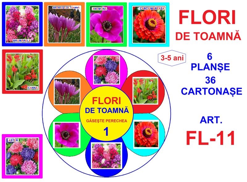 FL-11 Joc cu cleşte Flori de toamna