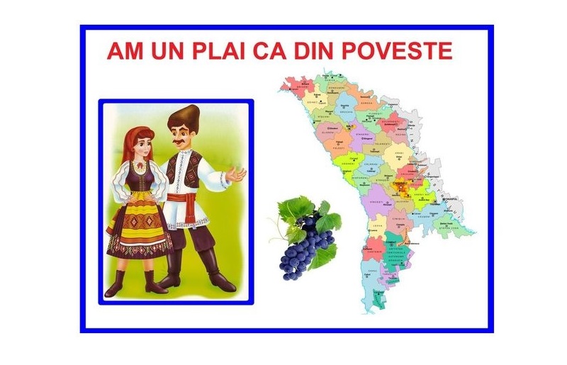 D8-37 Am un plai ca din poveste (A4)