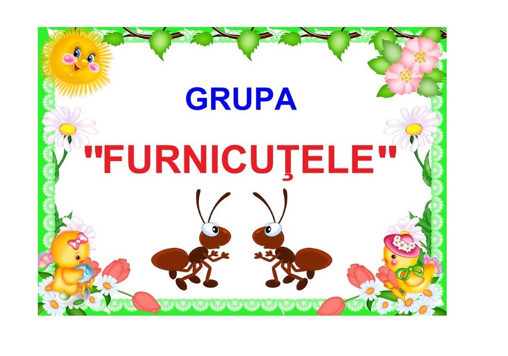 D9-6.2 Furnicuţele (A4)