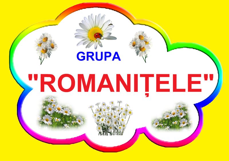 D9-36.2 Romaniţele (A4)