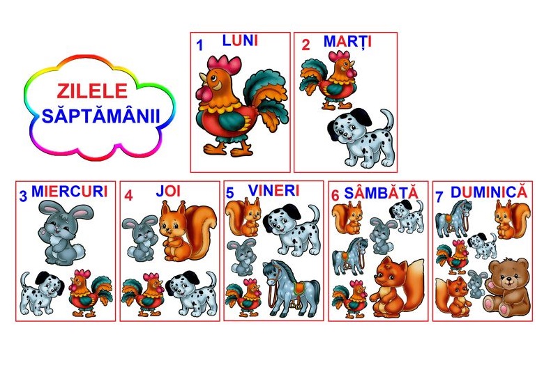 D11-5.2 Zilele săptămânii (A5)
