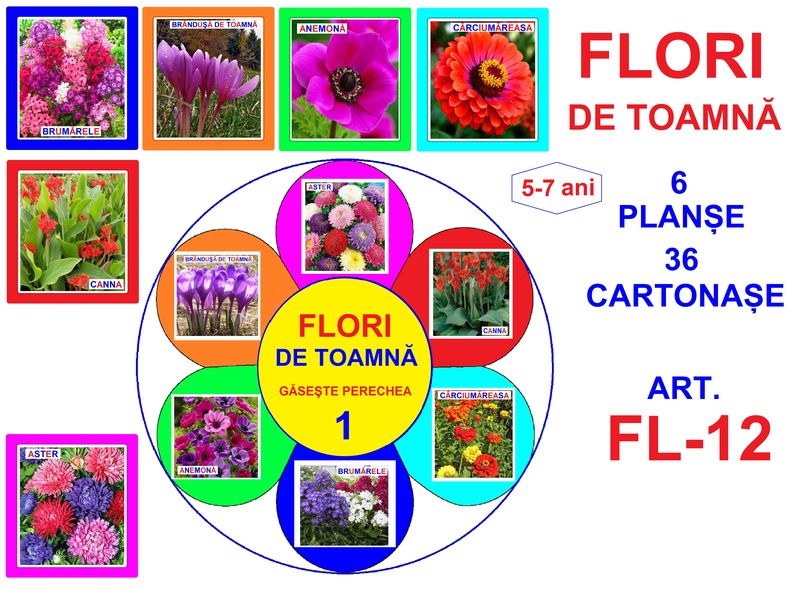 FL-12 Joc cu cleşte Flori de toamna