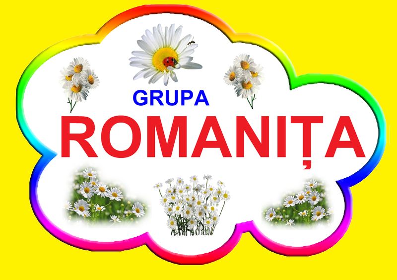 D9-35.2 Romaniţa (A4)