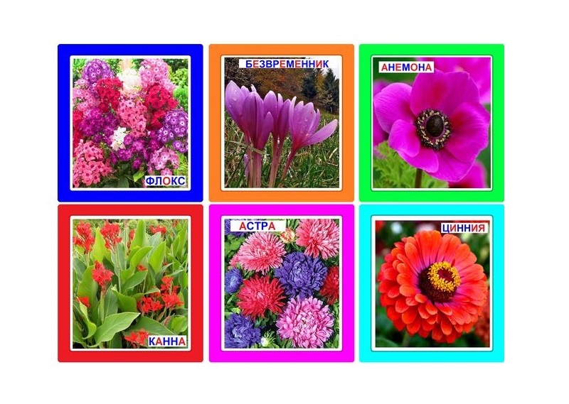 FL-13 Joc Loto Осенние цветы
