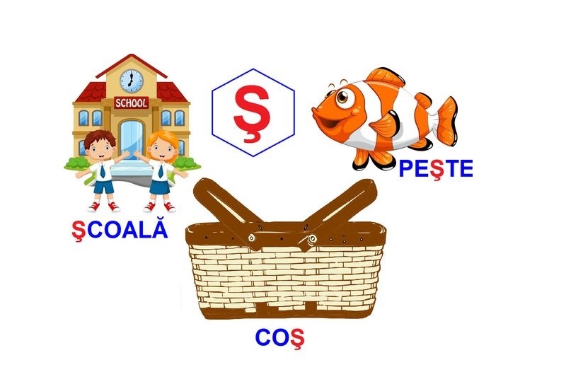 L-226 Loto Logopedie animată Sunetul Ş