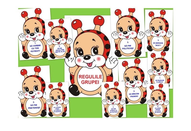 D7-6.1 Regulile grupei (A4)