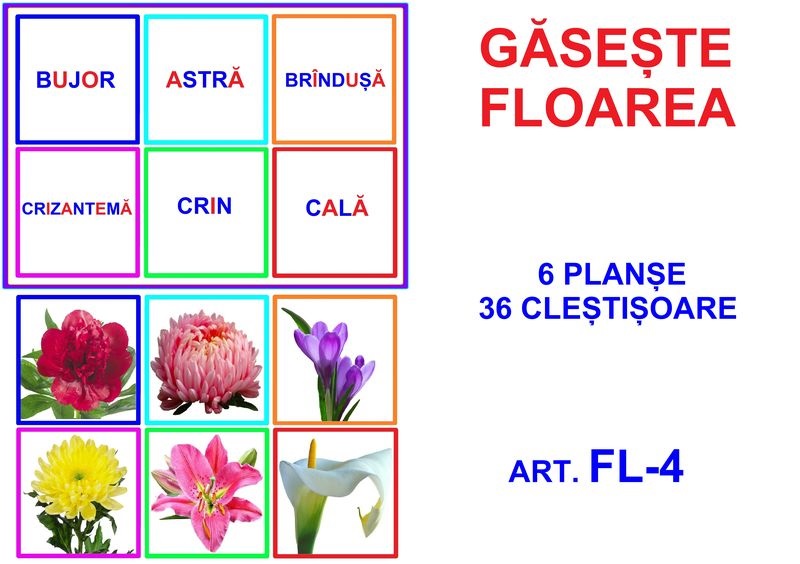 FL-4 Joc cu cleşte Flori