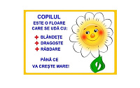 D17-C87 Citat (A3 laminat)
