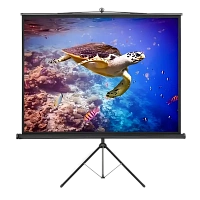 Ecran manual Reflecta Crystal-Line, 1:1
