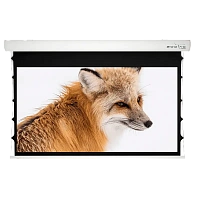 Ecran electric Sopar Taurus 53355ZT, 158", 16:10