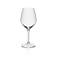 Rona Favourite White Wine