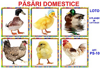 PS-10 Joc Loto Păsări domestice