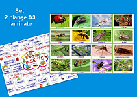 Insecte PT-20