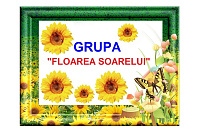 D9-50.2 Floarea soarelui (A4)