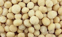 Macadamia miez (crude)  (per 100 gr)