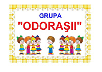 D9-57.2 Odoraşii (A4)