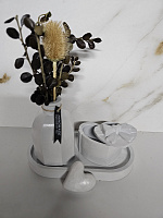 Set decorativ din ipsos mic