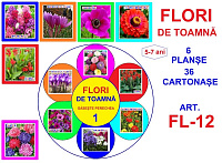 FL-12 Joc cu cleşte Flori de toamna