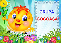 D9-31.2 Gogoaşa (A4)